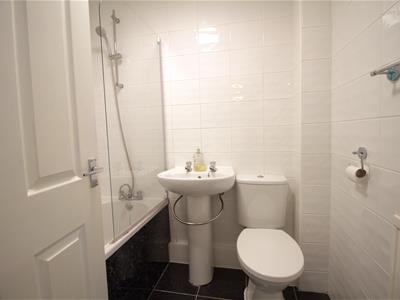 Picture 5